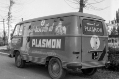 plasmon1964